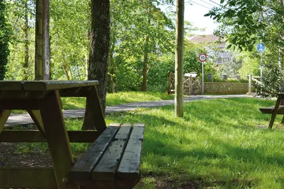 Ecología, medio ambiente y transición energética