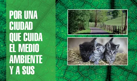 Apertura_Animalismo